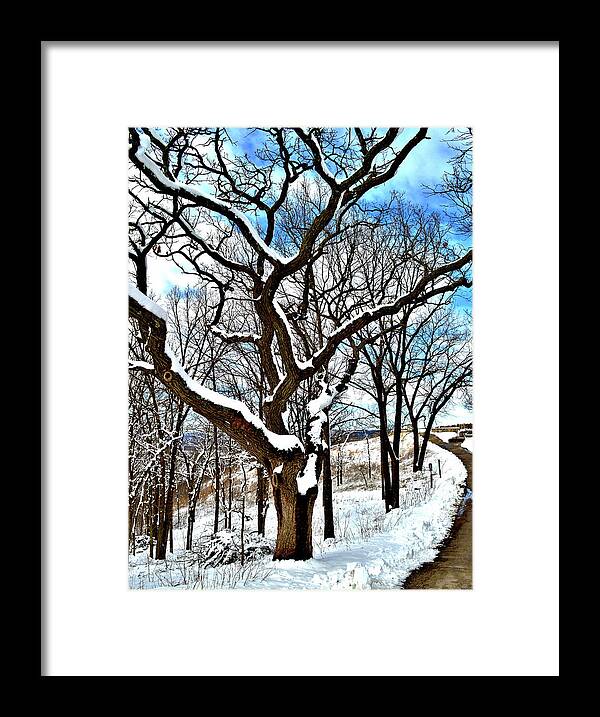 Paths Framed Print featuring the photograph Path To The Lookout by Susie Loechler