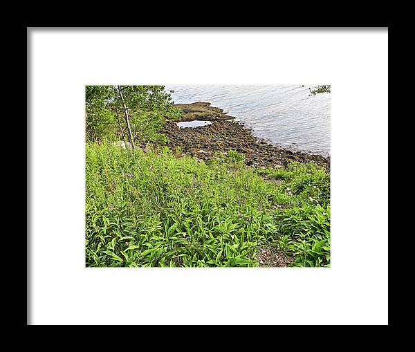 Acadia National Park Framed Print featuring the photograph Path, Wildflowers, Weeds, and The Atlantic from Acadia National Park, Maine by Lise Winne