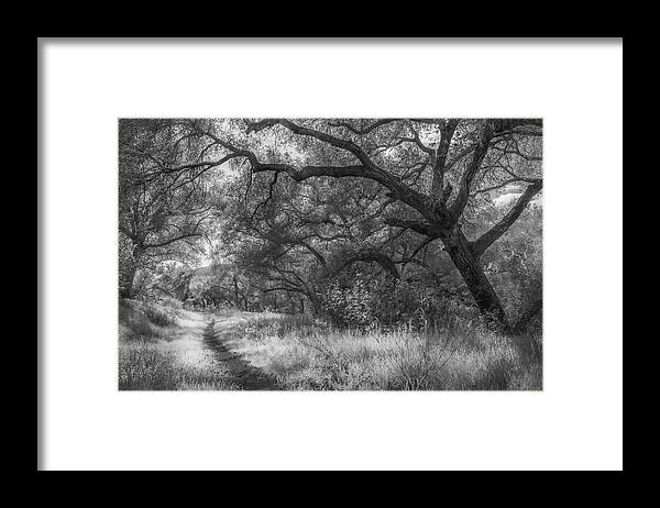 Landscape Framed Print featuring the photograph Path with Oaks, Boden Canyon by Alexander Kunz