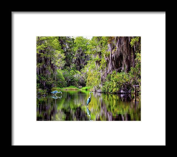 Heron Framed Print featuring the digital art Patient Reflections by Norman Brule