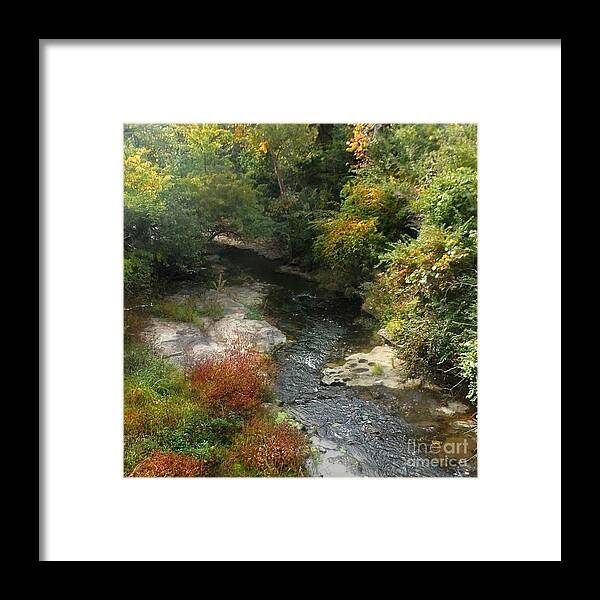 Fall Framed Print featuring the photograph Paw Print by David Neace CPX