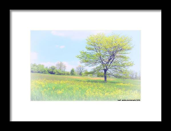 Nature Framed Print featuring the photograph Peace On The Hillside by Tami Quigley