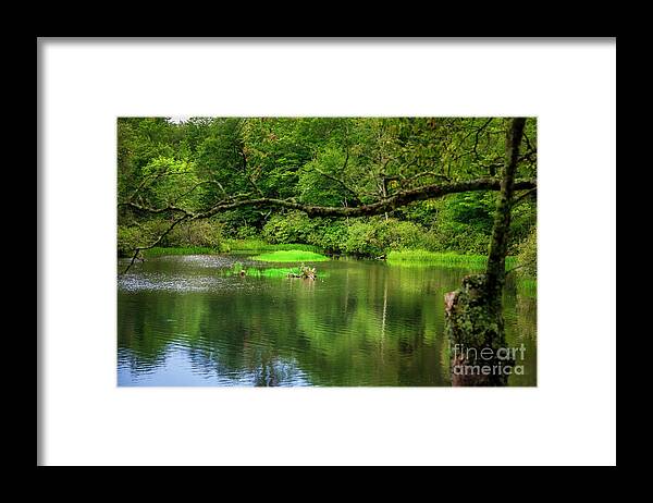 Price Lake Framed Print featuring the photograph Peaceful Alcove on Price Lake by Shelia Hunt