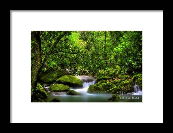 Waterfall Framed Print featuring the photograph Peaceful Cascades in the Forest by Shelia Hunt