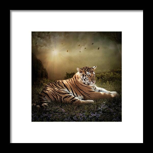 Bengal Tiger Framed Print featuring the digital art Peaceful Resolve by Maggy Pease