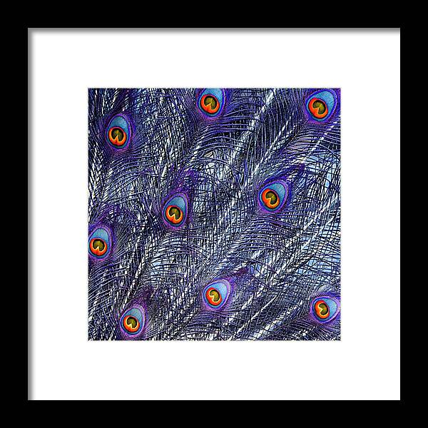 Feathers Framed Print featuring the photograph Peacock In Blue by World Art Collective