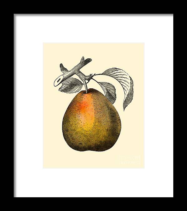 Pear Framed Print featuring the digital art Pear Kitchen Decor by Madame Memento
