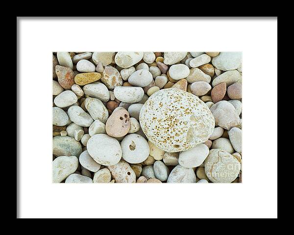Pebbles Framed Print featuring the photograph Pebbles on the beach by Neale And Judith Clark