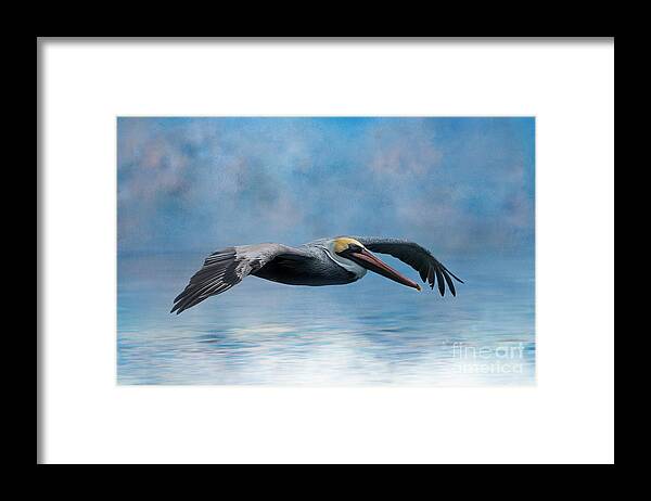 Digitalart Framed Print featuring the photograph Pelican Glide by Ed Taylor