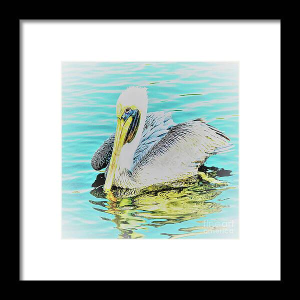Brown Pelican Framed Print featuring the photograph Pelican in Soft Glow by Joanne Carey