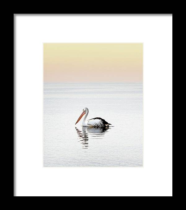 Three Pelicans Framed Print featuring the photograph Pelican Landing Triptych_1 by Az Jackson