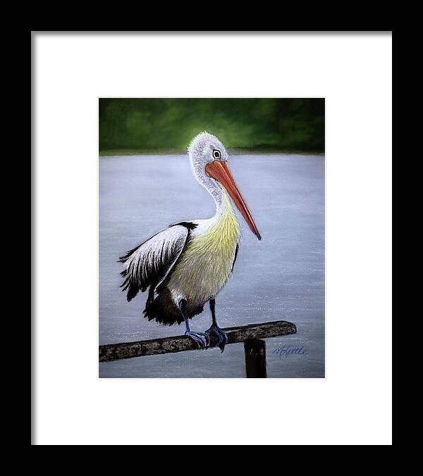 Pelican Framed Print featuring the drawing Pelican by Marlene Little