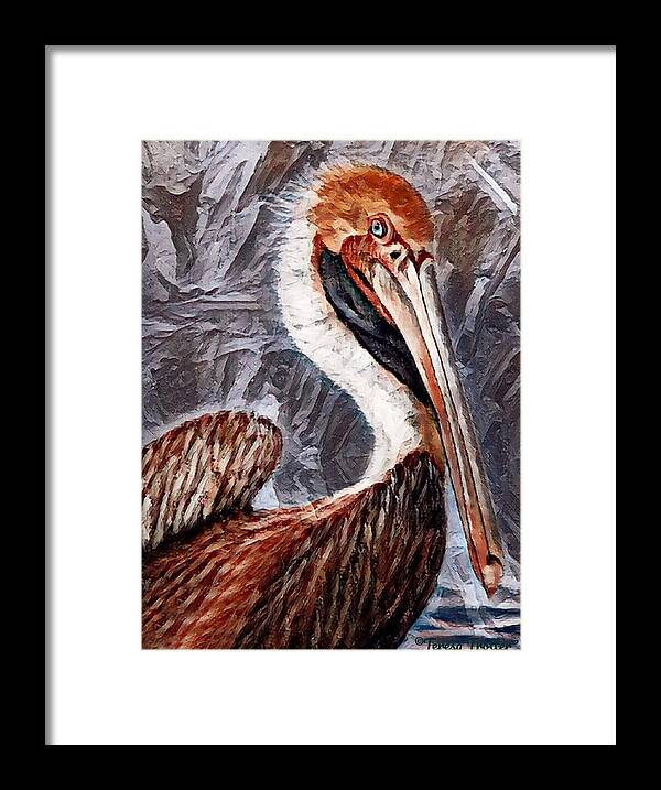 Pelican Framed Print featuring the painting Pelican Portrait by Teresa Trotter