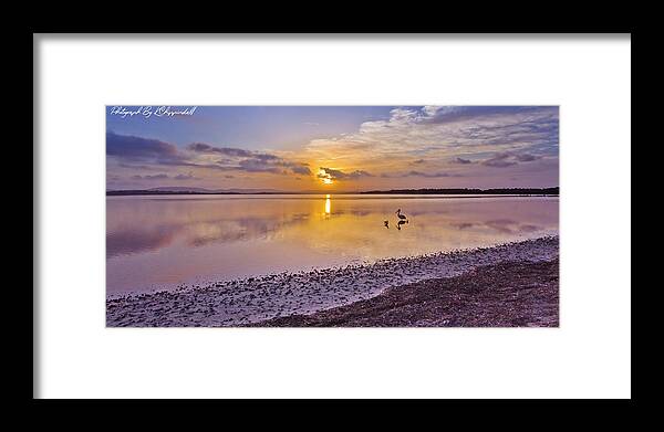 Australian Pelicans Framed Print featuring the digital art Pelican sunset 9885 by Kevin Chippindall
