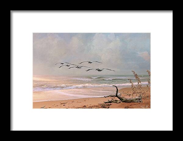 Pelicans Framed Print featuring the digital art Pelicans at Honeymoon Island by M Spadecaller