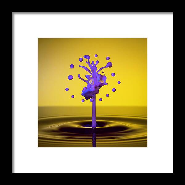 Waterdrop Collision Framed Print featuring the photograph Water Tree by Ari Rex