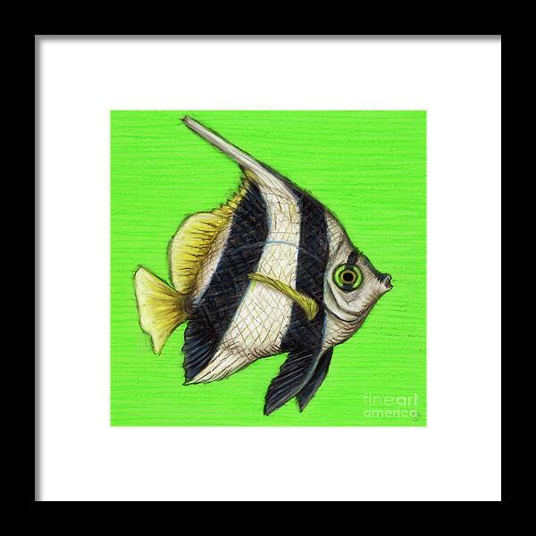 Tropical Fish Framed Print featuring the painting Pennant Coralfish by Amy E Fraser