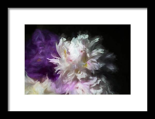 Peony Framed Print featuring the photograph Old World Peonies by Connie Carr
