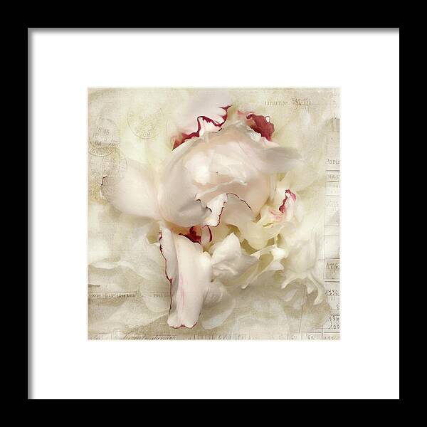 Flower Framed Print featuring the photograph Peony - French Papers by Karen Lynch