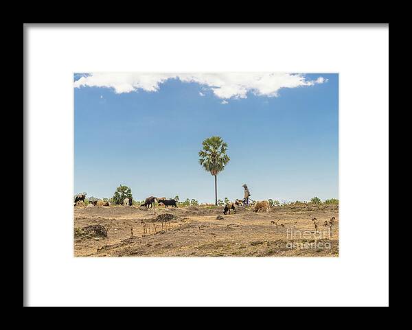 Asia Framed Print featuring the photograph People of Timor-Leste 16 by Werner Padarin