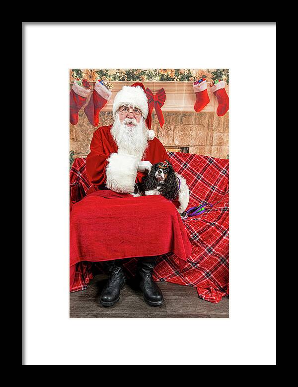 Peppermint Framed Print featuring the photograph Peppermint with Santa 1 by Christopher Holmes
