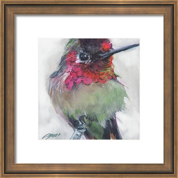 Perched Annas Hummingbird by Jani Freimann