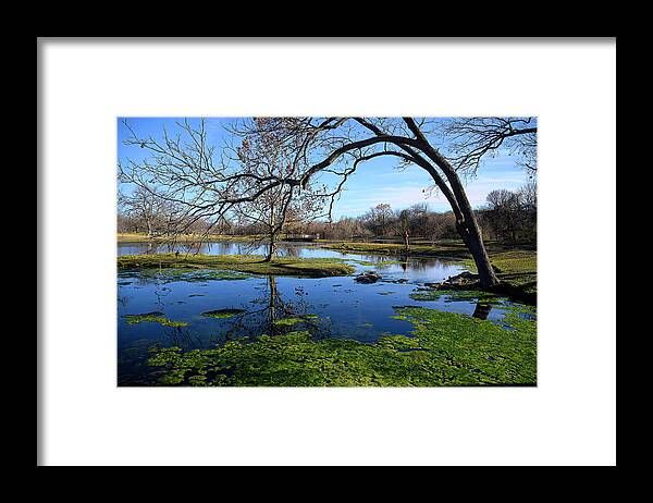 Springs Framed Print featuring the photograph Perfect Day by Cheri Freeman