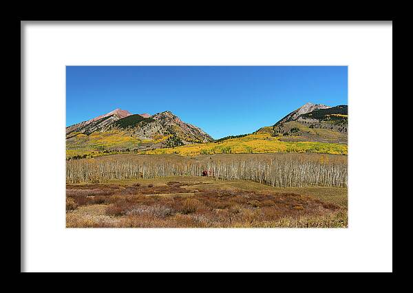Aspens Framed Print featuring the photograph Perfect Fall Solitude by Ron Long Ltd Photography