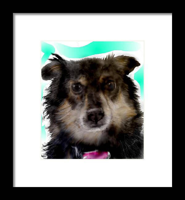 Dachshund Aussie Mix Pixie Cute Small Dog Framed Print featuring the mixed media Perfect Pixie by Pamela Calhoun