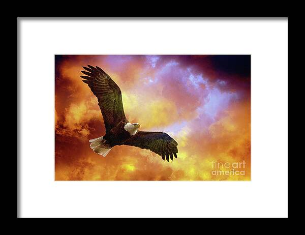 Eagle Framed Print featuring the photograph Perseverance by Lois Bryan