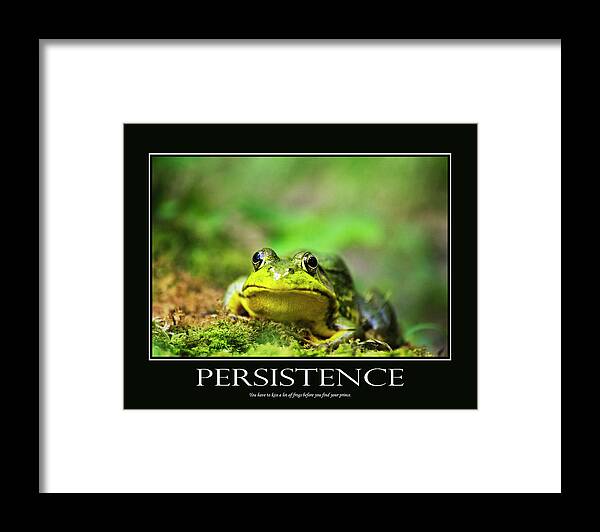 Inspirational Framed Print featuring the photograph Persistence Inspirational Motivational Poster Art by Christina Rollo
