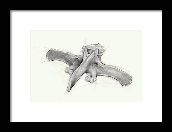 Pencil Framed Print featuring the drawing Perspectives III, pencil on paper by Adriana Mueller