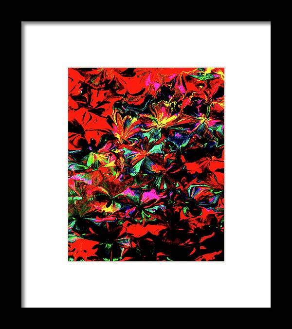 Red Framed Print featuring the painting Petals Of Red by Anna Adams