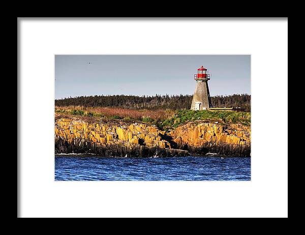 Light House Island Peters Island Gulls Rocks Sea Ocean Nova Scotia Framed Print featuring the photograph Peters Light House by David Matthews