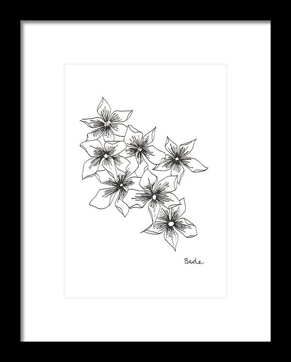 Ink Paper Drawing Illustration Black White Flowers Phlox Framed Print featuring the drawing Phlox by Catherine Bede
