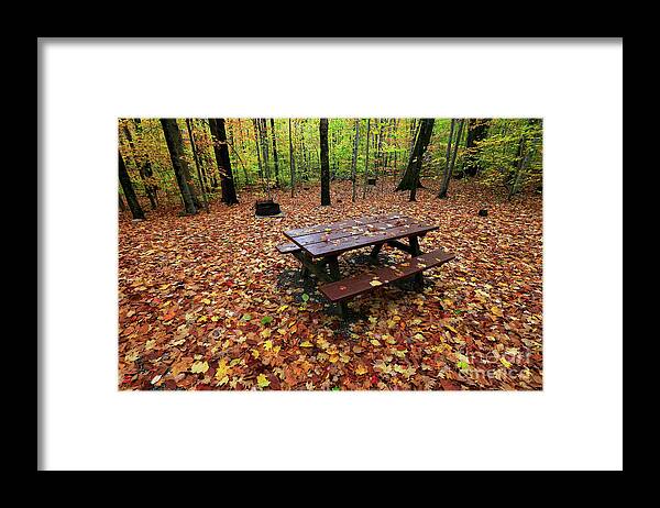 Fall Framed Print featuring the photograph Picnic table, Fall by Kevin Shields