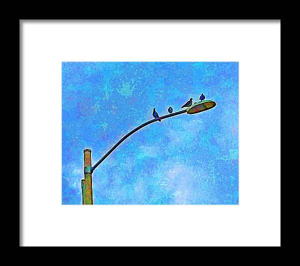 Bird Framed Print featuring the photograph Pidgeon Pole by Andrew Lawrence
