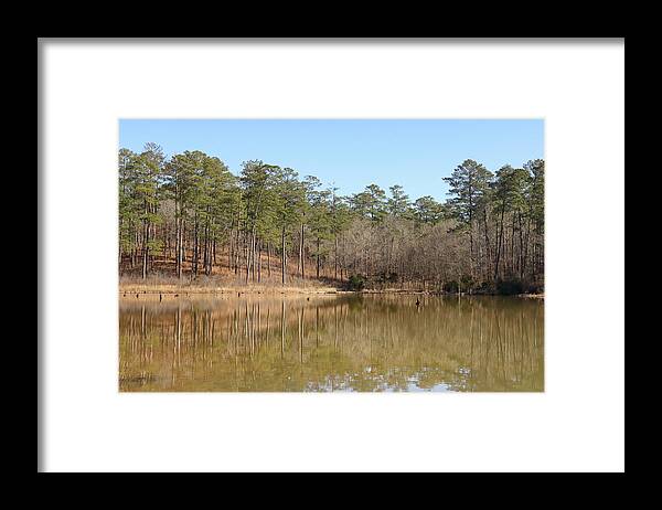 Piedmont National Wildlife Refuge Framed Print featuring the photograph Piedmont Pond Lean by Ed Williams