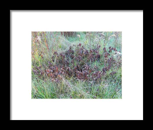 Meadow Framed Print featuring the photograph Pile of Oak Leaves on the Emerald Green Grass by Lise Winne