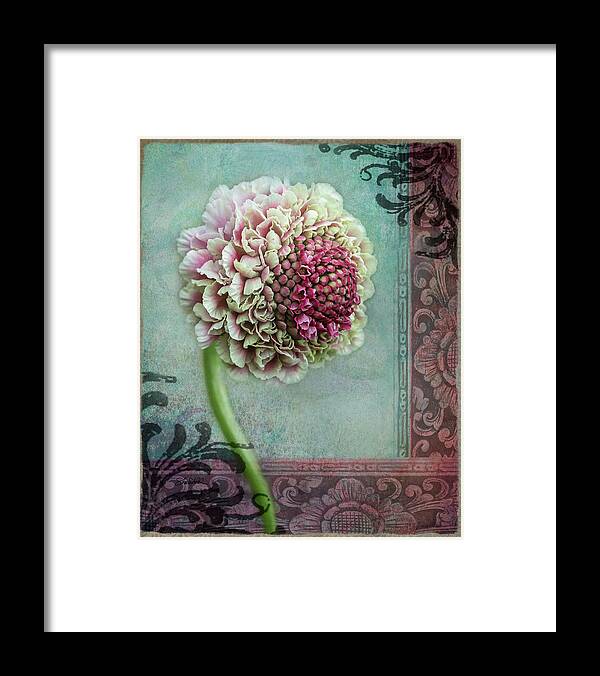 Fine Art Framed Print featuring the photograph Pincushion Collage-Right by Shara Abel