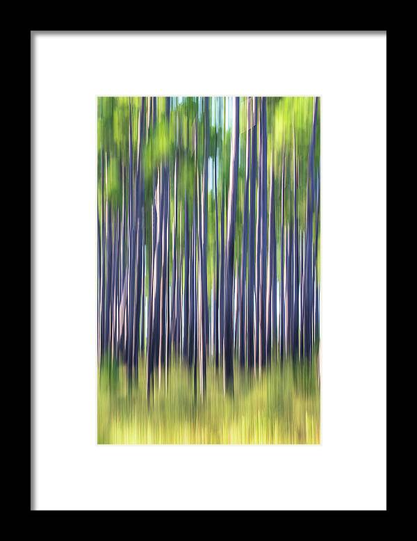 Abstract Framed Print featuring the photograph Pine Savana Abstract - Croatan National Forest by Bob Decker