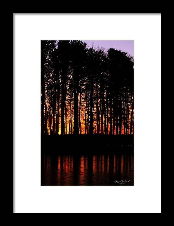 Trees Framed Print featuring the photograph Pines at Sunset by Mary Walchuck