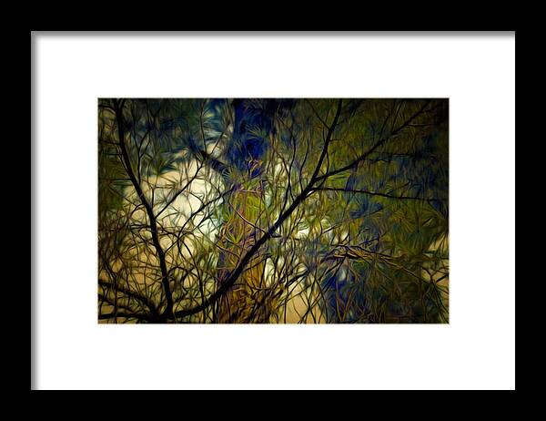 Branches Framed Print featuring the mixed media Piney Branches by Christopher Reed