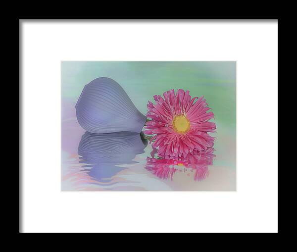Pink Aster Framed Print featuring the photograph Pink Asters Beauty by Sylvia Goldkranz