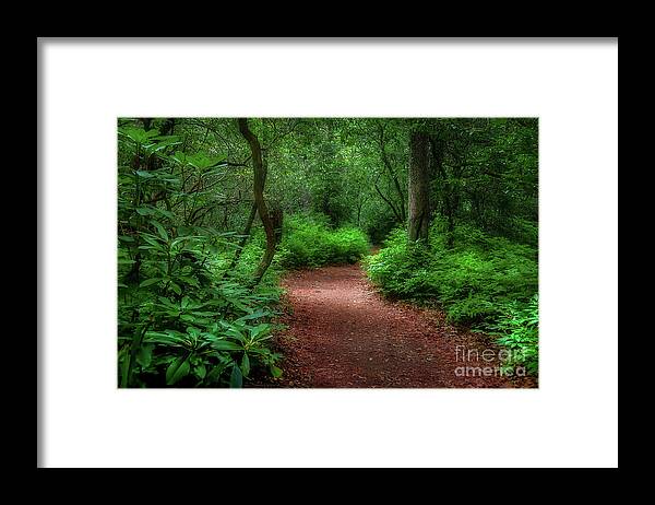 Trail Framed Print featuring the photograph Pink Beds Trail II by Shelia Hunt