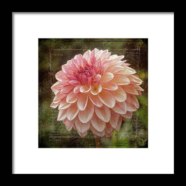 Flora Framed Print featuring the digital art Pink Dahlia by Linda Lee Hall