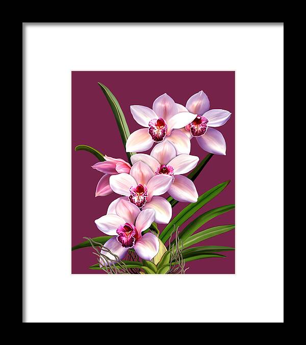 Pink Orchids Framed Print featuring the mixed media Pink Orchids by Anthony Seeker