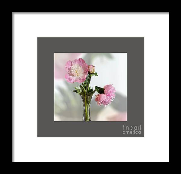 Art Framed Print featuring the photograph Pink Peonies Vase by Jeannie Rhode