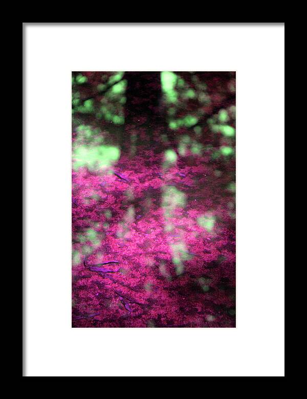 Water Framed Print featuring the photograph Pink Reflections by Carolyn Stagger Cokley