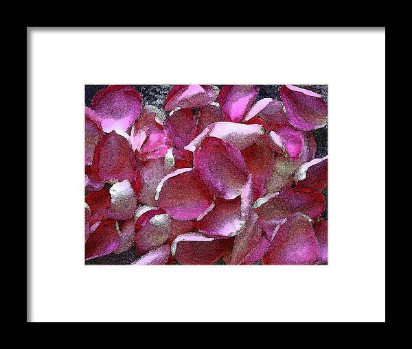 Pink Framed Print featuring the photograph Pink Rose Petals by Corinne Carroll